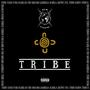 TRIBE (Explicit)