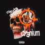 Cranium (Explicit)