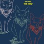 Yes Now (Explicit)
