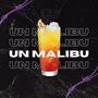 UN MALIBU