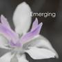 Emerging