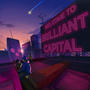 Welcome To Brilliant Capital