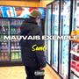 Mauvais Exemple (feat. SamG) [Explicit]