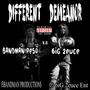 DIFFERENT DEMEANOR (Explicit)