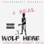 4Real (Explicit)