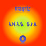 ANAS SPA