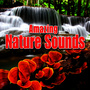 Amazing Nature Sounds