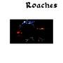 Roaches