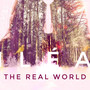 The Real World