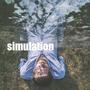 simulation