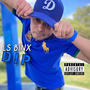 DIP (Explicit)