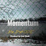 Momentum (Explicit)