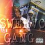 Swervo Gang Freestyle (feat. Don.B) [Explicit]