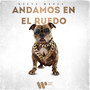 Andamos En El Ruedo