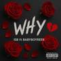 Why (Explicit)