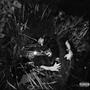 Paper Cuts (feat. Sorrow Bringer) [2023 Demo] [Explicit]