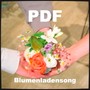 Blumenladensong (Explicit)