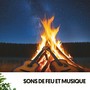 Sons de Feu et Musique : Mélodies Ardentes sous les Étoiles