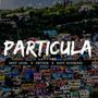 Particula