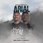 Aerial (feat. Big dog & Haicky) [Explicit]