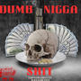 Dum nigga **** (feat. Wann2active & capxlotjayy) [Explicit]
