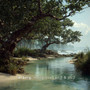 Mangroves, Pt. 1 and Pt. 2