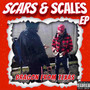 Scars & Scales - EP (Explicit)