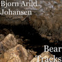 Bear Tracks