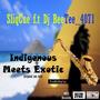 Indigenous Meets Exotic (feat. Dj BeeTee_4071)