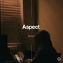 Aspect (Explicit)