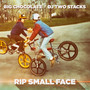 Rip Small Face