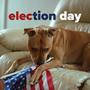 election day