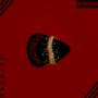 Highness (Explicit)