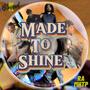 Made to shine (feat. RA MHTP)