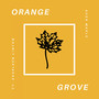 Orange Grove