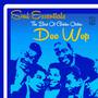 Soul Essentials the Best of Golden Oldies Doo Wop, Hit Songs by the Coasters, Fats Domino, Lesley Go