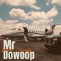 Mr. Dowoop (Explicit)