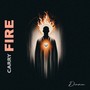 Carry Fire
