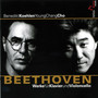 Beethoven: Werke fur Klavier und Violoncello