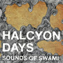 Halcyon Days (Explicit)