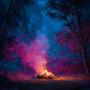 Kindling