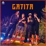 Gatita (feat. Diego Villa, YGNERD47 & Benyamindola)