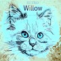 RETRO WILLOW