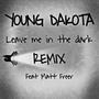 leave me in the dark (feat. Matt Freer) [remix] [Explicit]