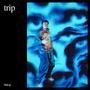 trip (Explicit)