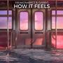 How It Feels (feat. Freakonamics)