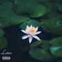 Lotus (Explicit)