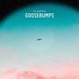 Goosebumps (Explicit)