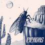 Cicadas