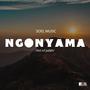 Ngonyama (Lion of Judah) (feat. Linda Hamweemba)